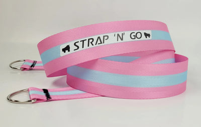 Strap N Go skate leash in pastet pink and blue stripe