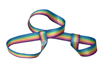 Derby Laces Skate Leashes in Pastel Rainbow Stripe.