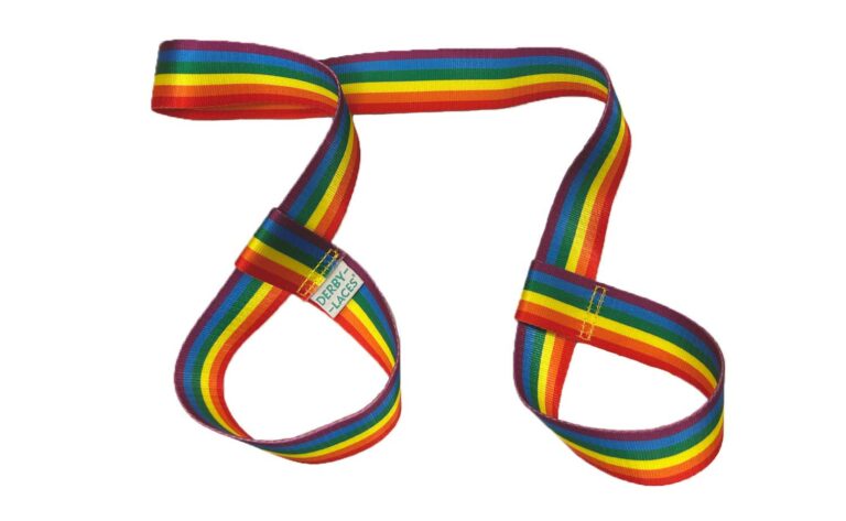 Derby Laces Skate Leashes in Rainbow Stripe.