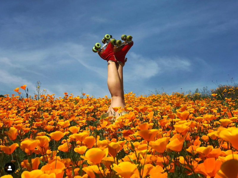 Legs wearing red roller skates emerge from a field of orange of flowers.