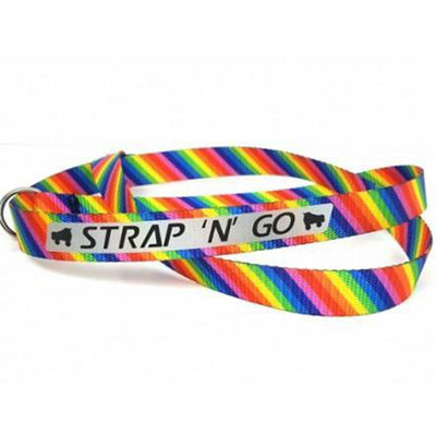 Strap N Go skate leash in rainbow diagonal stripe print.